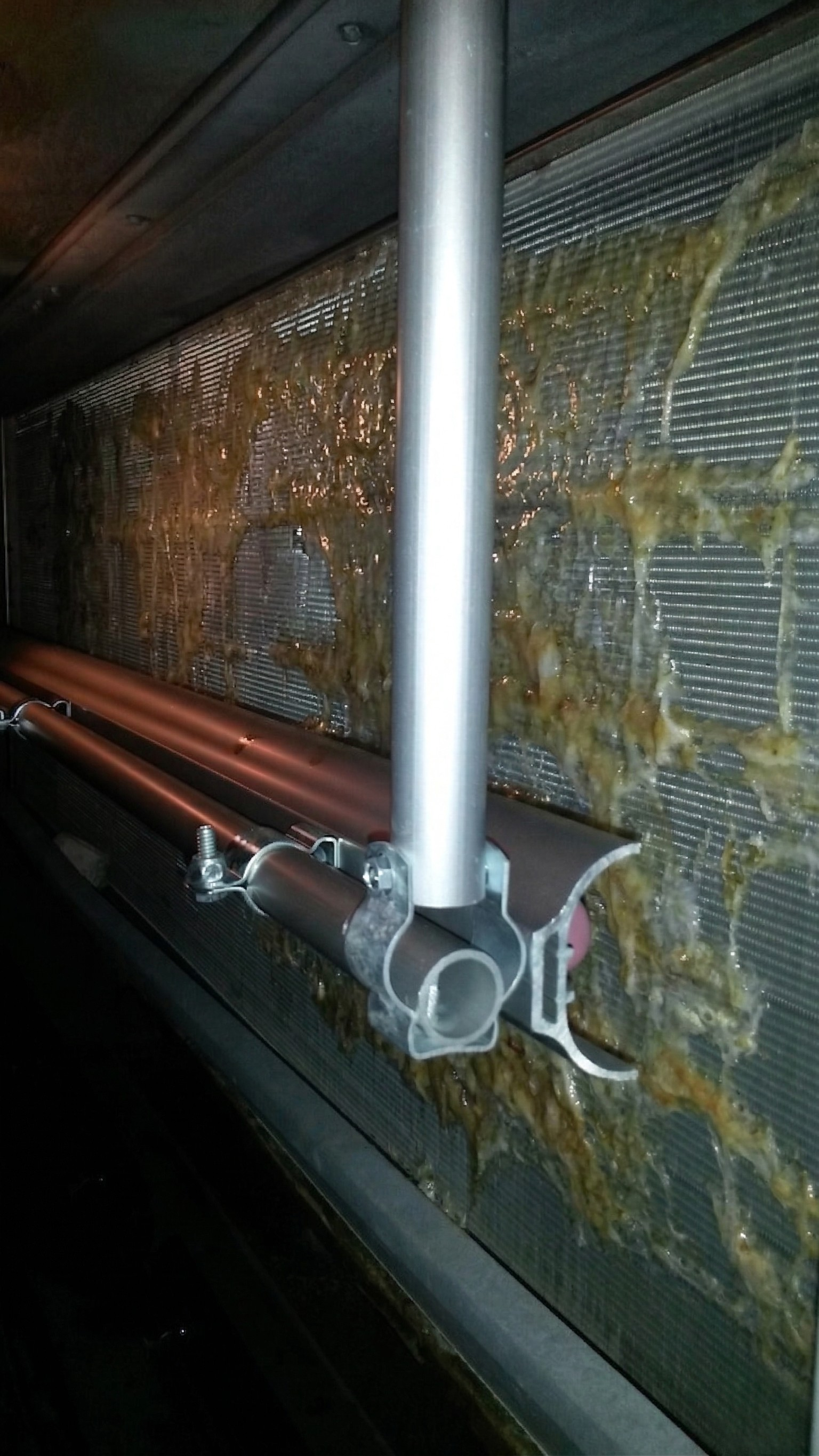 Comment la lumière UV-C haute intensité élimine le biofilm et génère un ROI de 49 % sur vos systèmes CVC