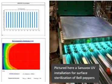 Fruits and Vegetables Surface Disinfection