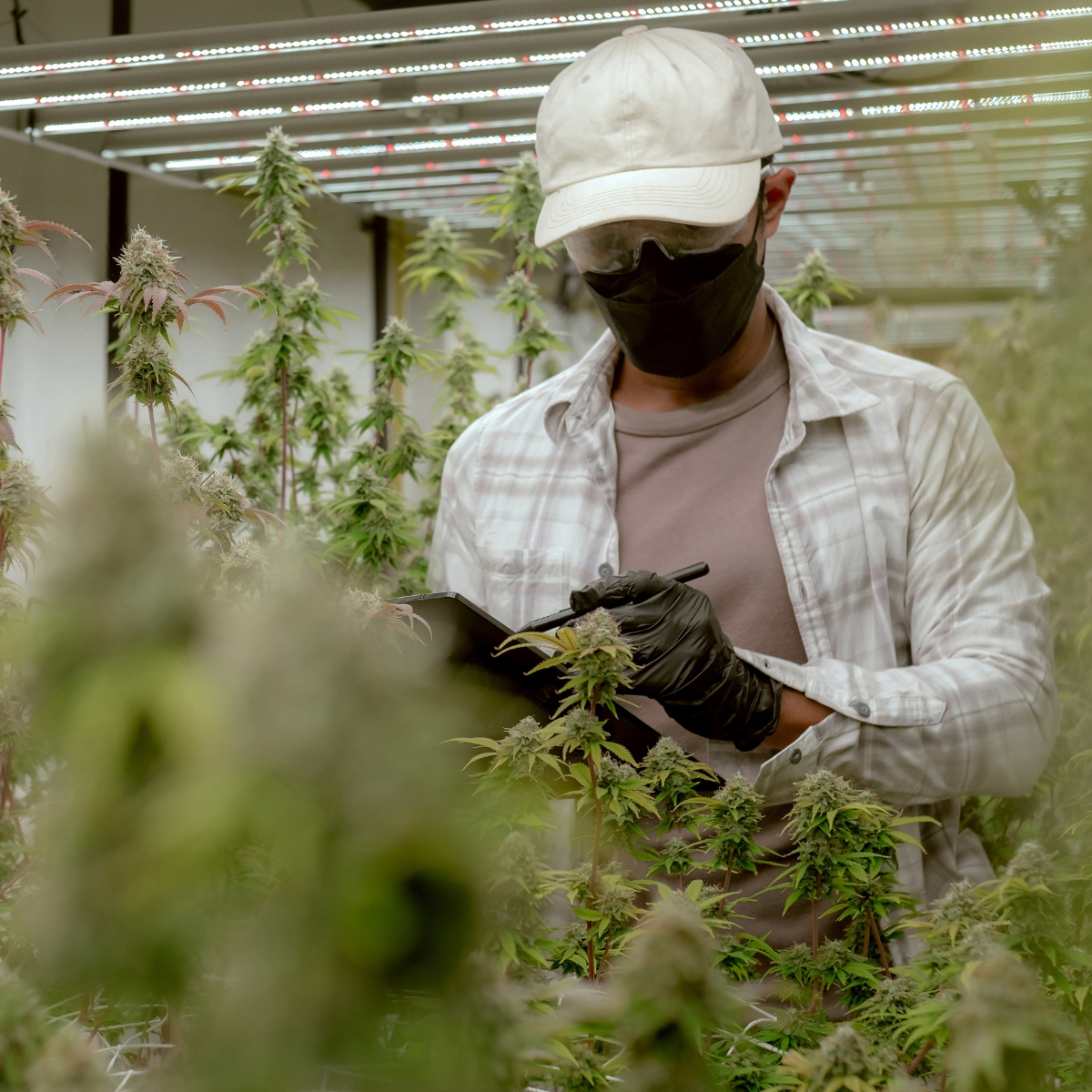 Clean Air. For everyone. Everywhere.