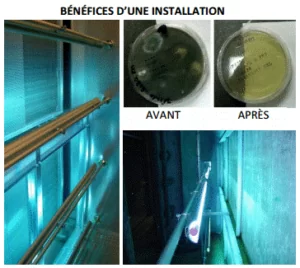 Améliorer l’efficacité des serpentins et éliminer les biofilms
