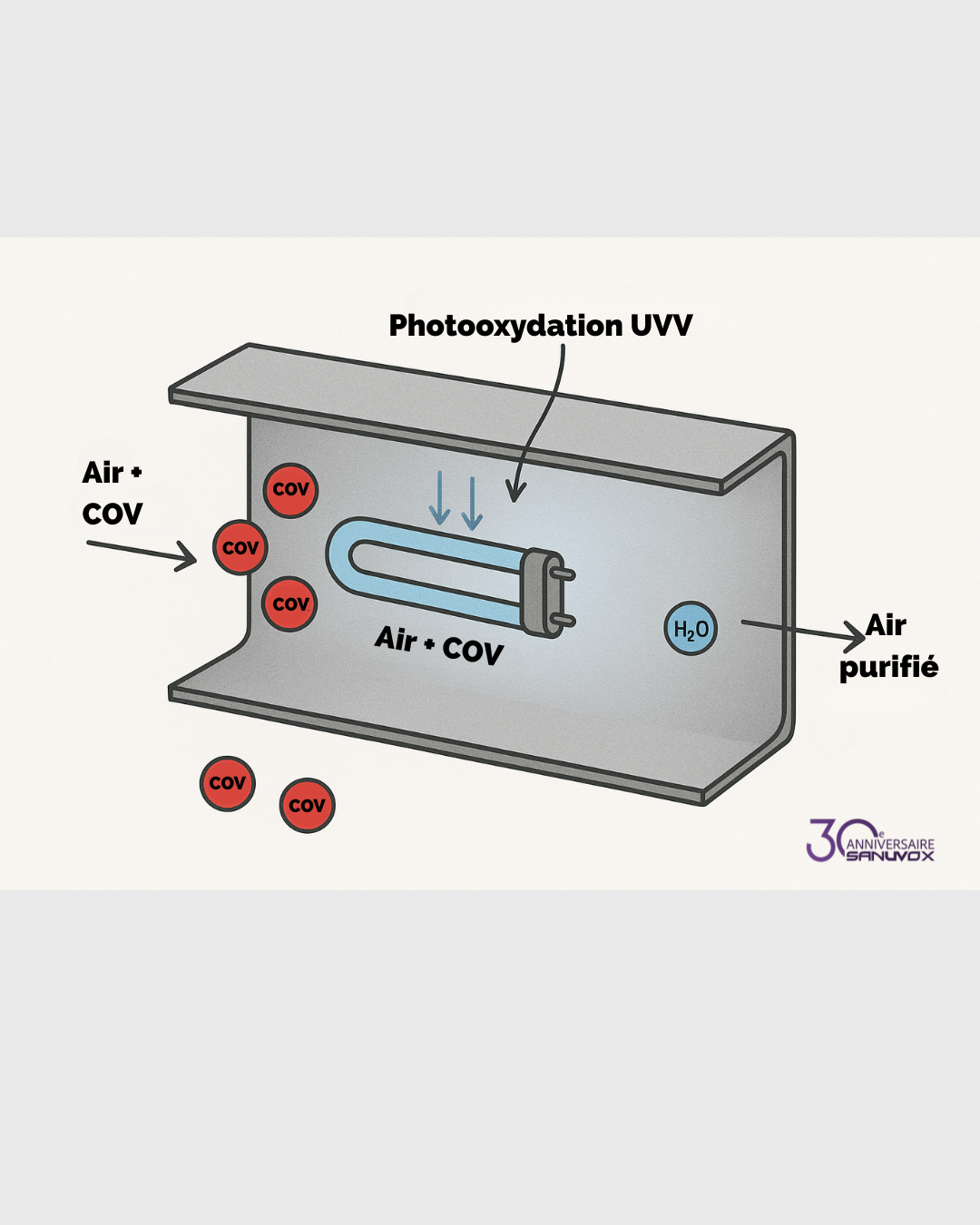 Feux de forêt au Canada : Comment protéger votre bâtiment et la qualité de l’air intérieur ?