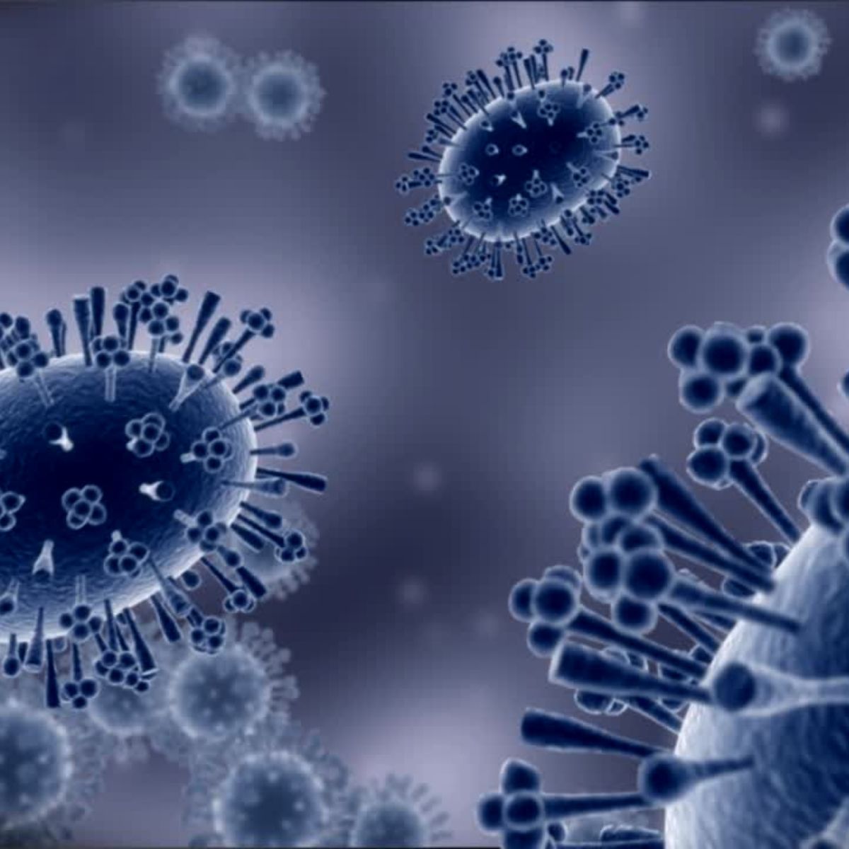 Avian Influenza Outbreaks