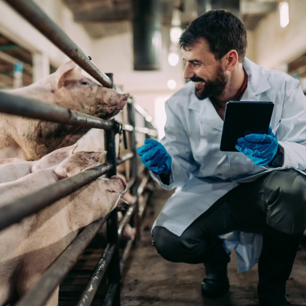 Clean Air. For everyone. Everywhere.